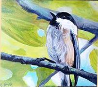 Chickadee Moment