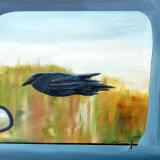 A car, a crow & a Startling