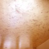 Smoked ceiling with 7 coats of varnish