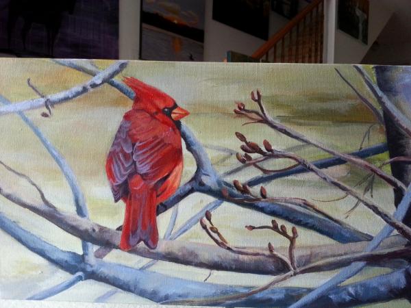 Sweet Cardinal