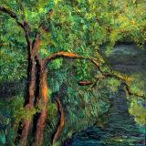 Natures Seduction - Print