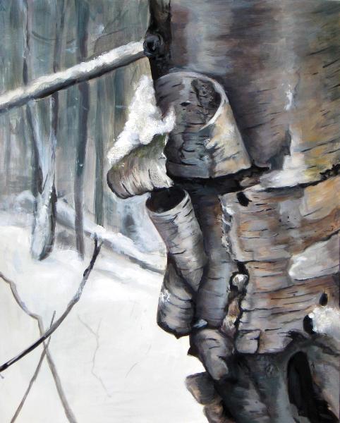 Winter Birch