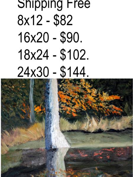 The Daily bog Revitalized